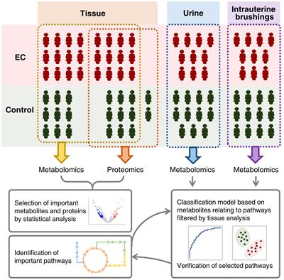 Multi-Omic Profiling of Multi-Biosamples Reveals the Role of Amino Acid and Nucleotide Metabolism in Endometrial Cancer